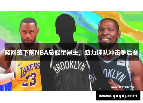 篮网签下前NBA总冠军得主，助力球队冲击季后赛