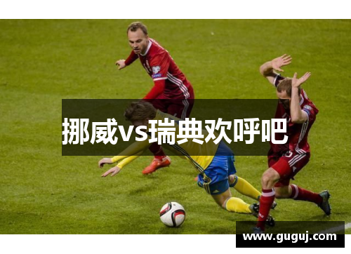 挪威vs瑞典欢呼吧