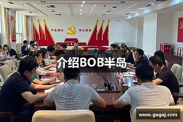 介绍BOB半岛